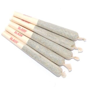 Buy 10 Gorilla Glue Pre-Rolled Joints Online in Dubai