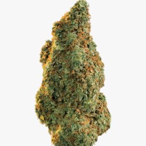 buy weed online in Abu Dhabi