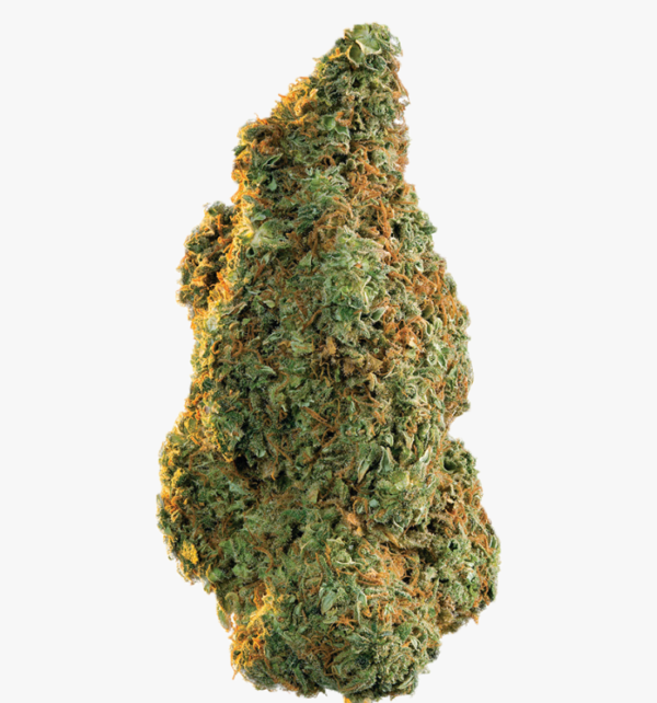 buy weed online in Abu Dhabi